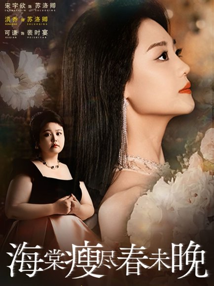 海棠瘦尽春未晚（62集）宋宇欣＆洪乔＆可谦 高清完整版