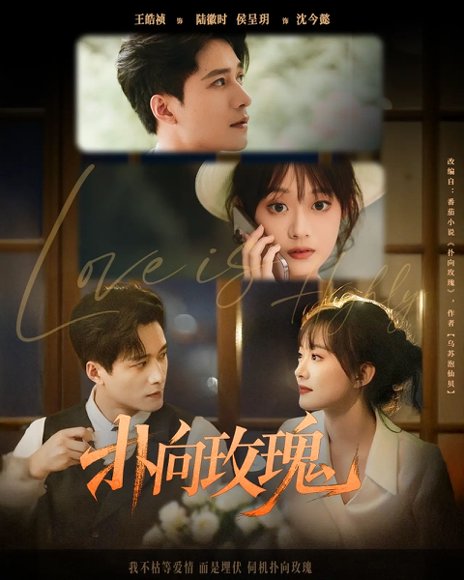 扑向玫瑰（77集）王皓祯&侯呈玥 高清完整版