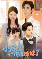 小厉总你找错妹妹了（52集） 高清完整版