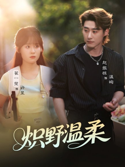 炽野温柔（72集）翟一莹&赵振栋&刘雨杉（与三） 高清完整版