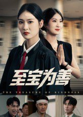 至宝为善（60集）丁语乔&宁浩然 高清完整版