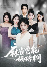 麻雀岂能栖梧桐（31集） 高清完整版