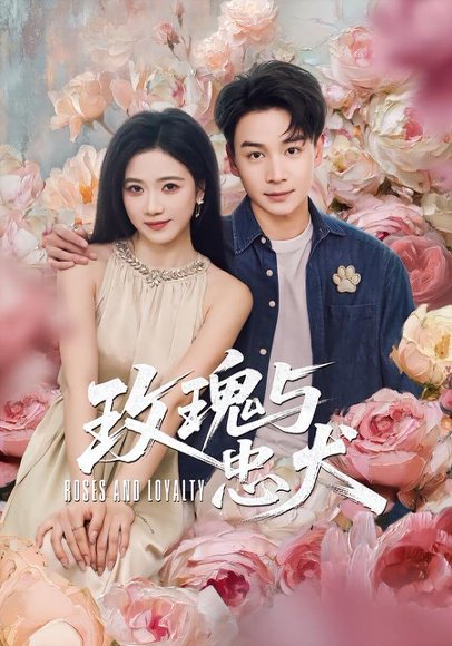 玫瑰与忠犬（80集）范高坡＆雯婕 高清完整版