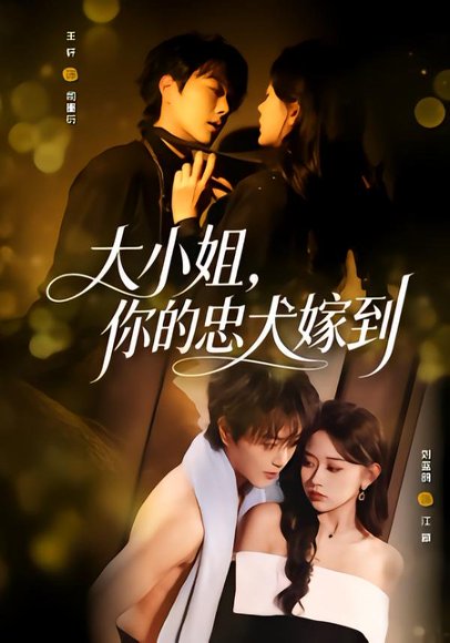 大小姐，你的忠犬嫁到（80集）王轩＆刘蓝鸽 高清完整版