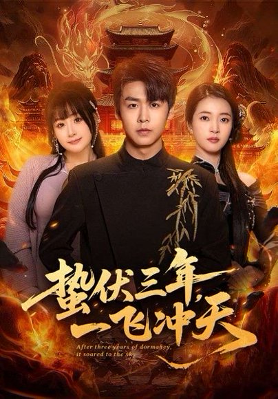 蛰伏三年，一飞冲天（60集）孔德瑞＆刘浔 高清完整版