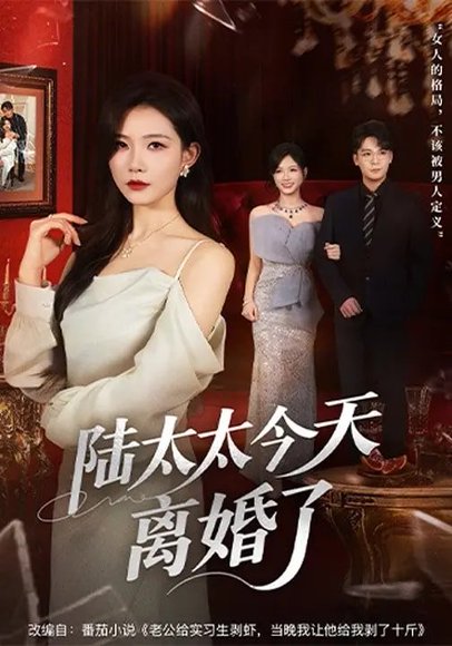 陆太太今天离婚了（59集）刘灿&丁敬一 高清完整版