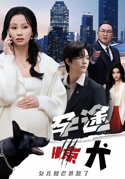 孕途惊犬，女儿奴老爸怒了（30集）钱怡＆彭梓洋 高清完整版