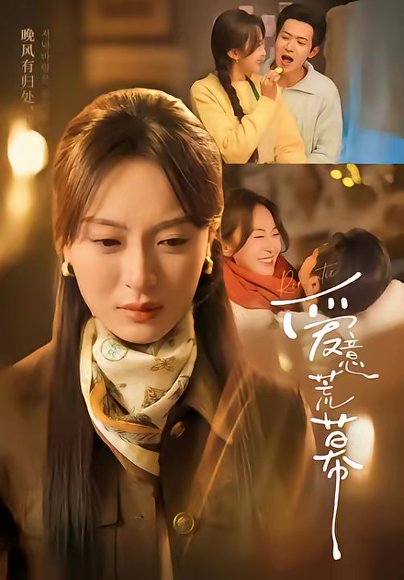 爱意荒幕（70集）程琳淼&邵之鹏 高清完整版