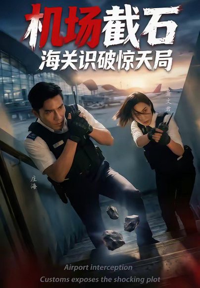 机场截石，海关识破惊天局（60集） 高清完整版