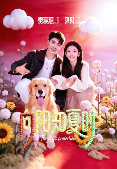 向阳知夏时（80集）秦琛琛＆贝贝 高清完整版
