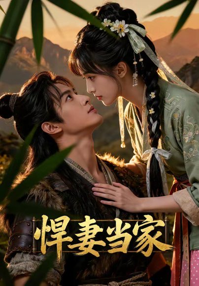 悍妻当家（52集） 高清完整版