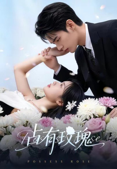 占有玫瑰（60集） 高清完整版